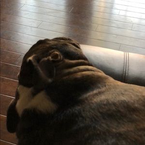 Meet your Posher, Taylor